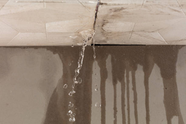 Professional Water Extraction technician working in Blanchard, MI